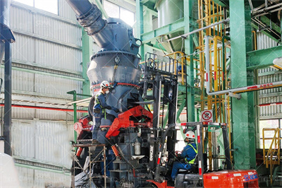 山东临沂雷蒙磨粉机红星机器