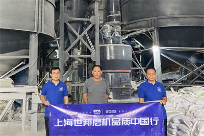 买什么牌子的磨粉机好